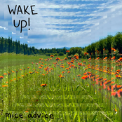 Wake Up!