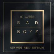 Bad Boyz (feat. Pitbull, Austin Mahone & Bobby Biscayne) - Single