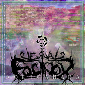 AOKIGAHARA (PRE-PRODUCTION)