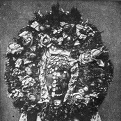 Orange Twin Field Works (Vol. I)