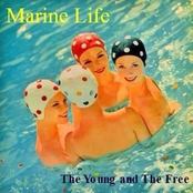 The Young And The Free by Marine Life