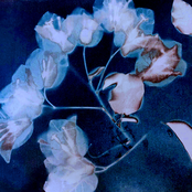 Touch As The Only Proof Of Existence