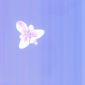 Lacee: Please don't stop being sweet to me