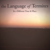 Steal The Air From My Lungs by The Language Of Termites