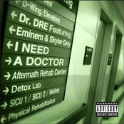 dr dre feat eminem & skylar grey