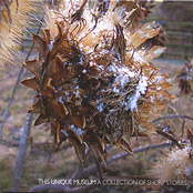 A Collection Of Short Stories