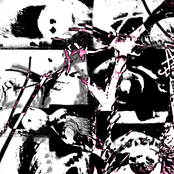 I Fell in Love with the Monochrome Lung