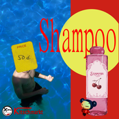 Shampoo