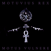 Motus Vulnere