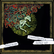 Atonal Burden - Daunhaus & Frequence Diversity (Split 2013)