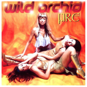 Candlelight by Wild Orchid