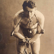 The Last Voyage of a Dying Whale