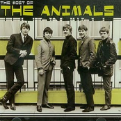 The Most of the Animals