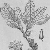 First rehearsal night/First recording