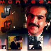 morteza