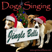 Jingle Bells (Singing Dogs)