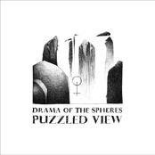Puzzled View