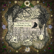 The Muddy Souls: A Lifetime in a Day