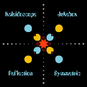 Reflection Symmetric