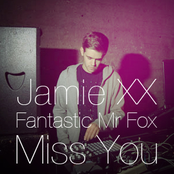 Jamie Xx & Fantastic Mr. Fox