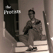 the protists