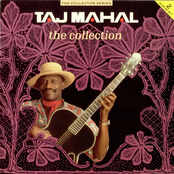 A Free Song by Taj Mahal