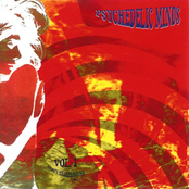 Psychedelic Minds Vol. 1: Heavy Underground [1967-71]