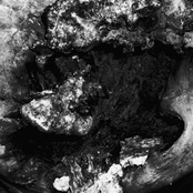 Maria Pandemia / Sleep Column