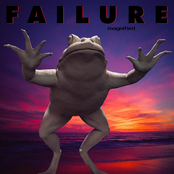 Failure: Magnified