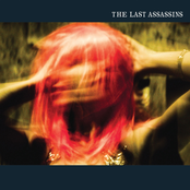 Dead Birds by The Last Assassins