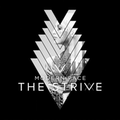 The Strive: Modern Pace