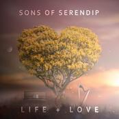 Sons of Serendip: Life + Love