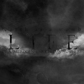 Life In A Nitrogen Enriched Atmosphere