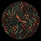 Body Is Dead (Demos)