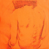 -Stanja: kolaž-     (2006.)