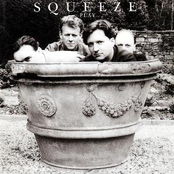 Wicked And Cruel by Squeeze