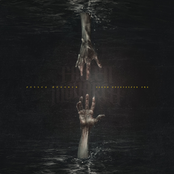 The Reflecting Grave