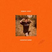 Reruns (Dauwpunt Remix)