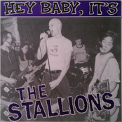 The Stallions