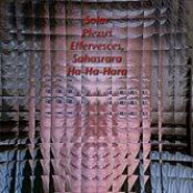 Solar Plexus Effervesces, Sahasrara Ha-Ha-Hara