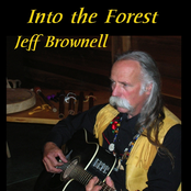 Into the Forest