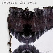 Between the Owls