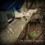 My Constant Companion