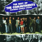 The Best Of The Commitments