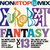 EUROBEAT FANTASY VOL.13