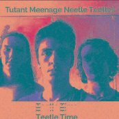 Teetle Time