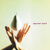 Simple by Sugar Plant