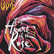 Bone: Heart of the Rose