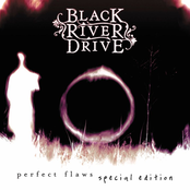 Perfect Flaws (Black Disc)