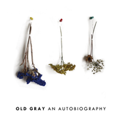 The Artist by Old Gray